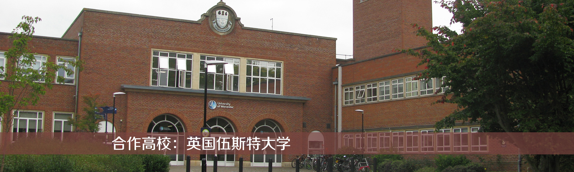 聚氨酯涂料粘接力改善助劑，適用于皮革涂飾劑，保證涂層耐曲折且不離層